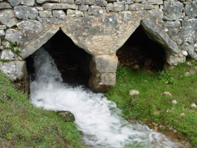 Olho de Tordo