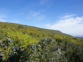 Serra de Alvai&aacute;zere